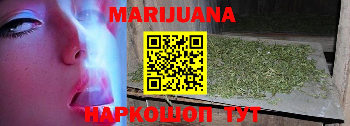 Каннабис планчик Узловая